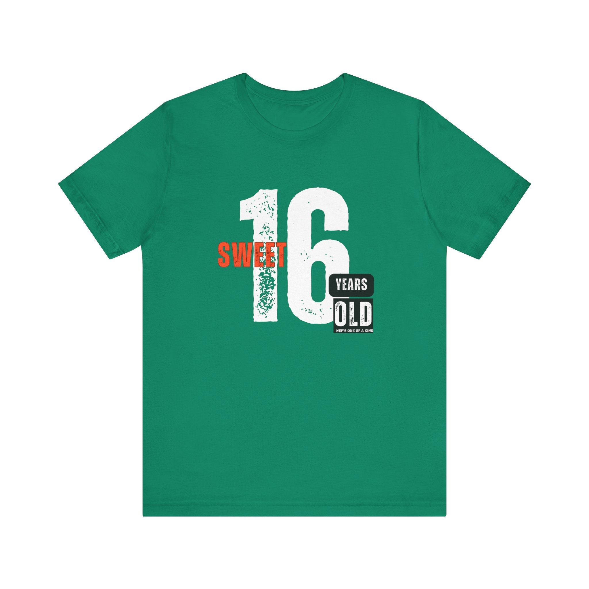 16year Old Unisex Adult Tee